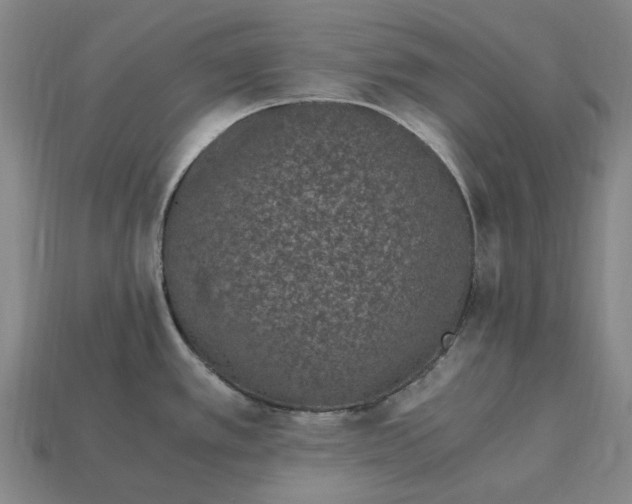 X0000115281389200911131819