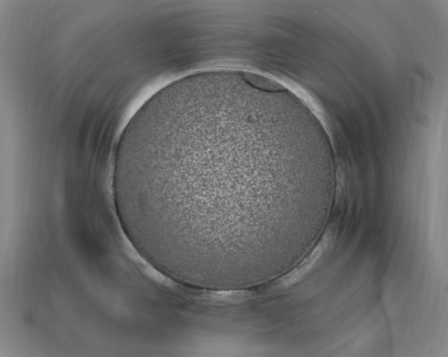 X0000115281390200911131819