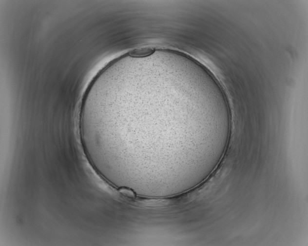 X0000115281392200911131819