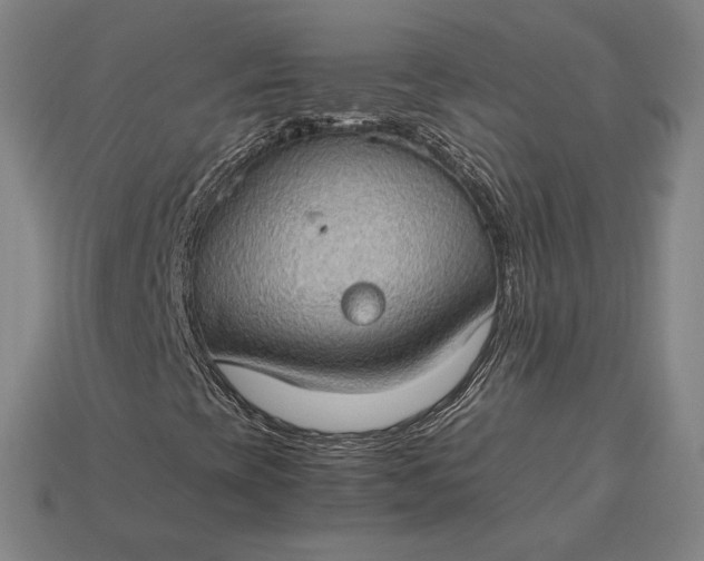 X0000115281393200911131818