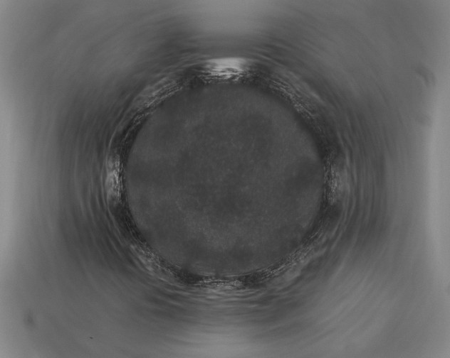 X0000115281394200911131819