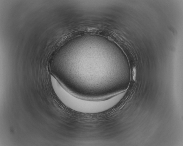 X0000115281395200911131819