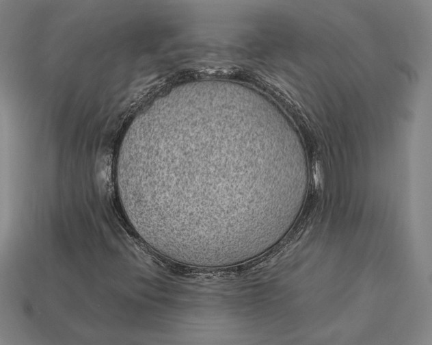 X0000115281396200911131819