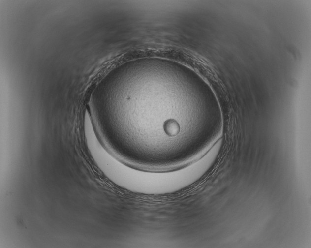 X0000115281397200911131819