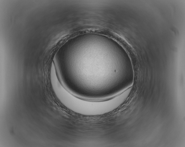 X0000115281399200911131819