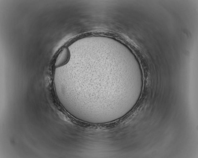 X0000115281400200911131819