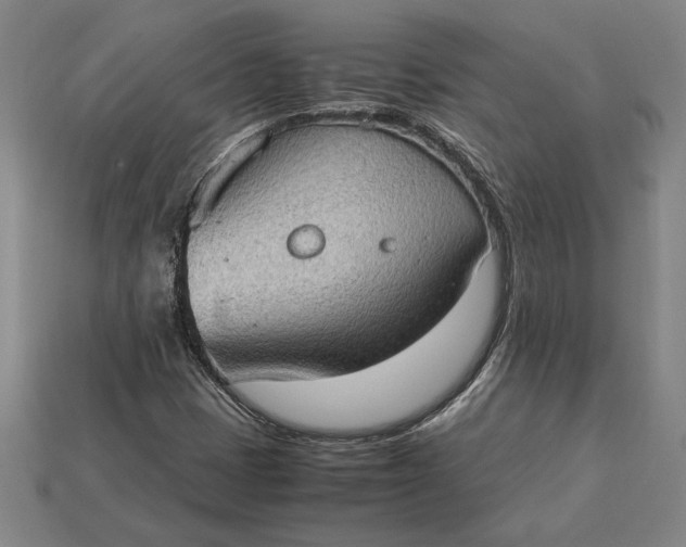 X0000115281401200911131819