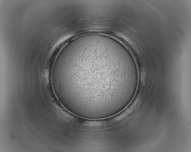 X0000115281402200911131819