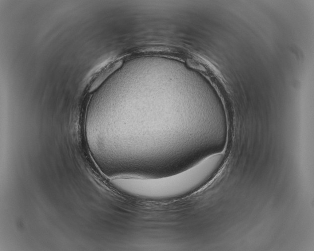 X0000115281403200911131819