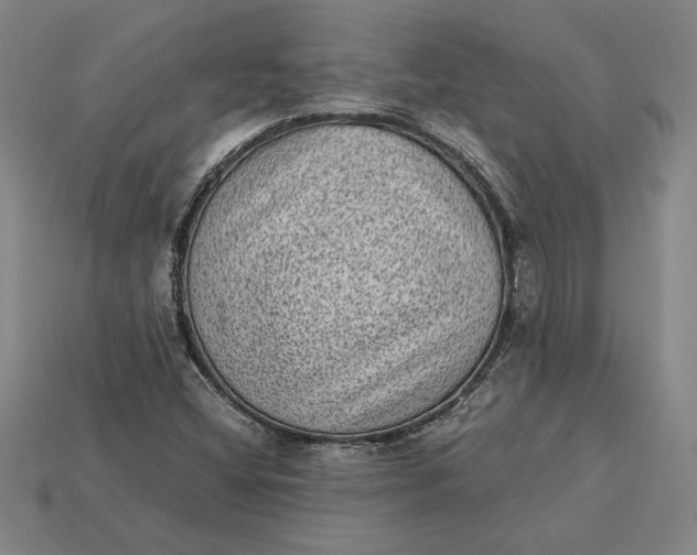 X0000115281404200911131819