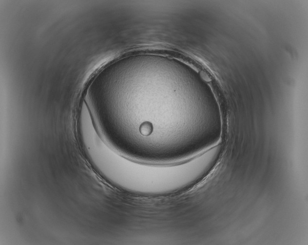 X0000115281405200911131819