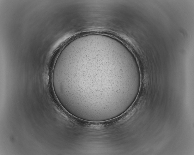 X0000115281406200911131819