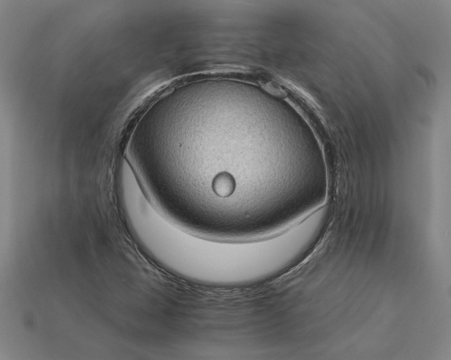 X0000115281407200911131819