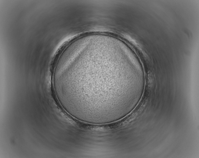 X0000115281408200911131819