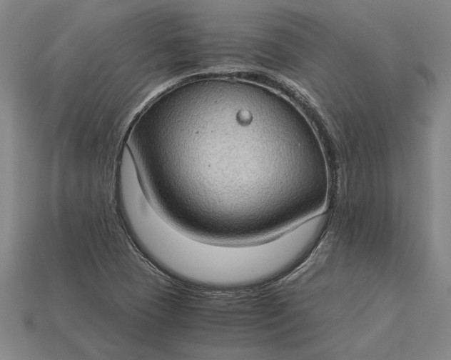 X0000115281409200911131819