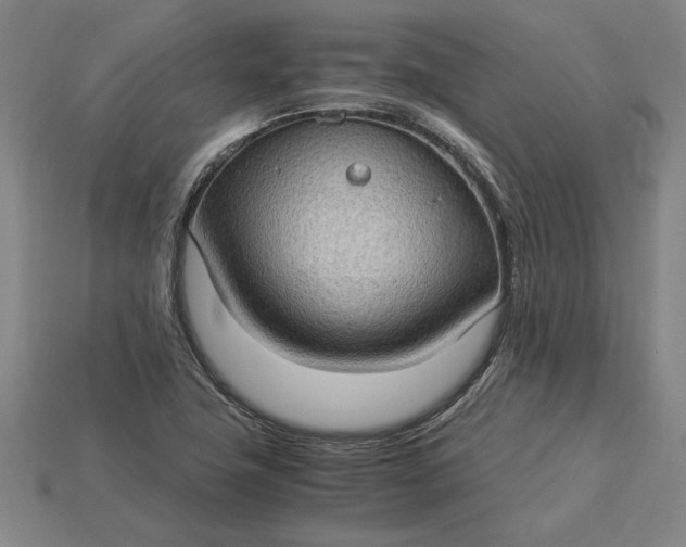 X0000115281411200911131819