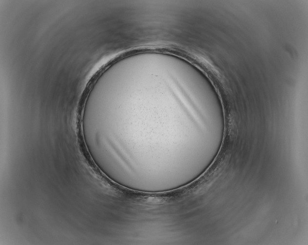 X0000115281412200911131819