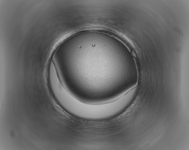 X0000115281413200911131819