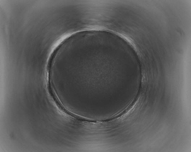 X0000115281414200911131819