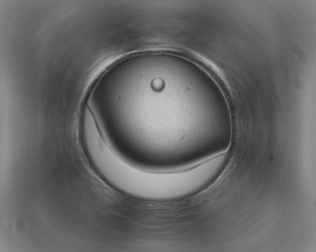 X0000115281415200911131819