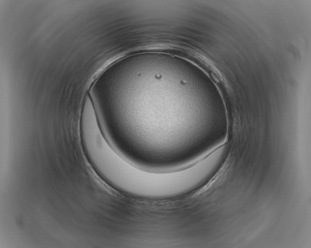 X0000115281417200911131819