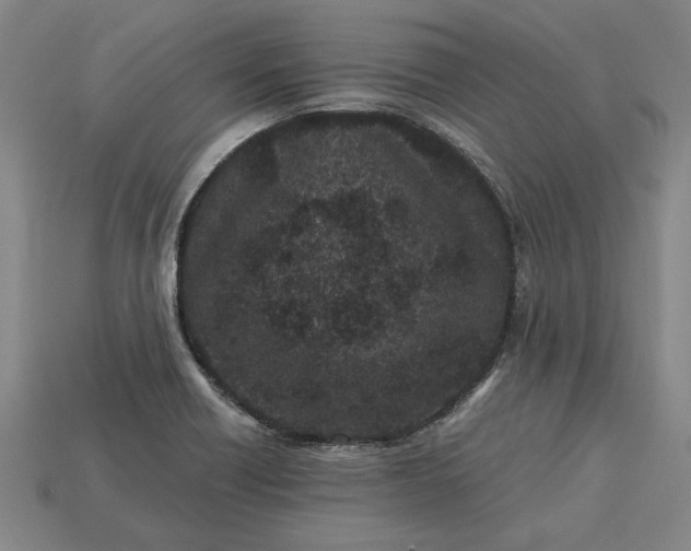 X0000115281418200911131819