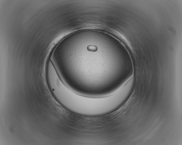 X0000115281419200911131819