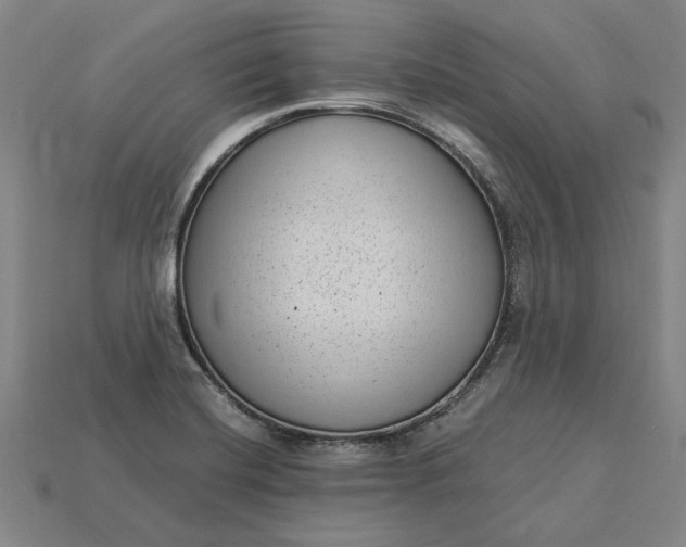 X0000115281420200911131819