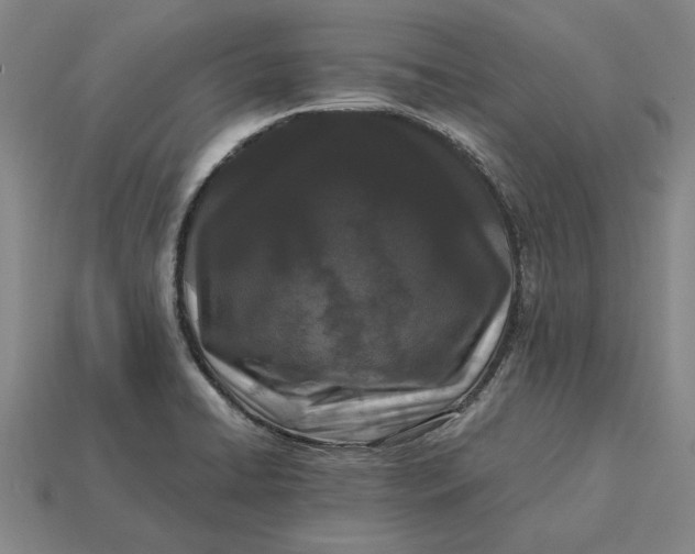 X0000115281422200911131819