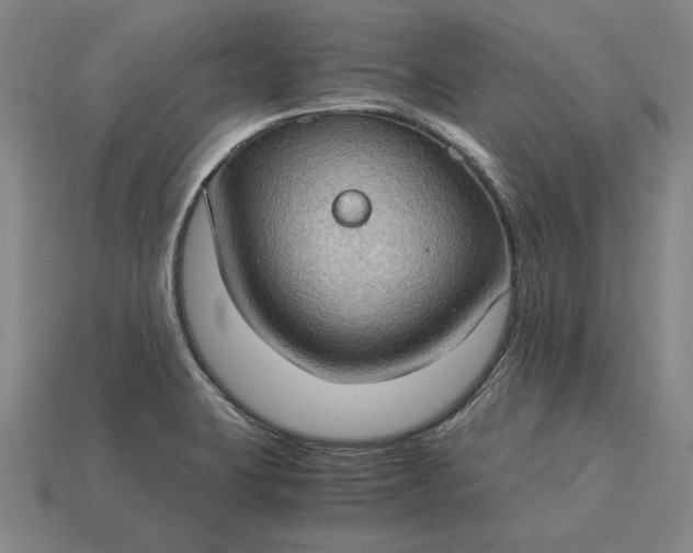 X0000115281423200911131819