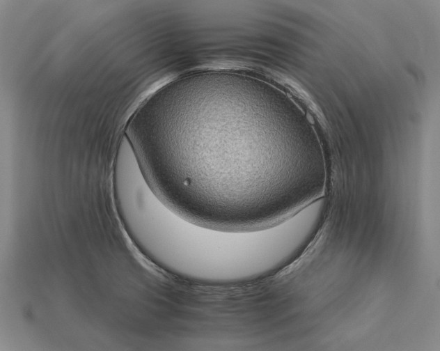 X0000115281425200911131819