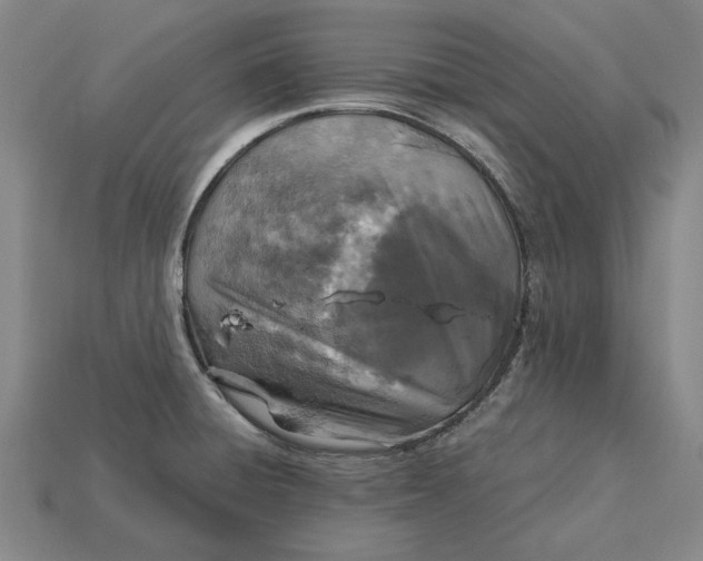 X0000115281428200911131819