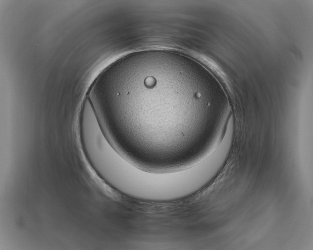 X0000115281431200911131819