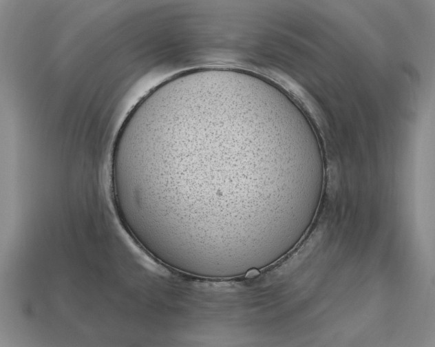 X0000115281432200911131819