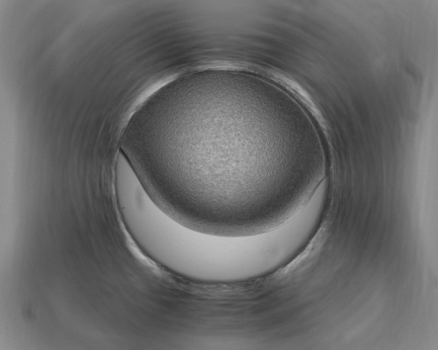 X0000115281433200911131819