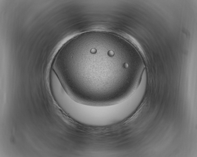 X0000115281435200911131819