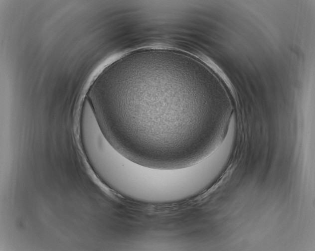 X0000115281437200911131819