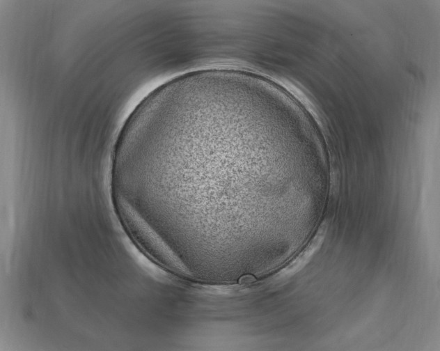 X0000115281438200911131819