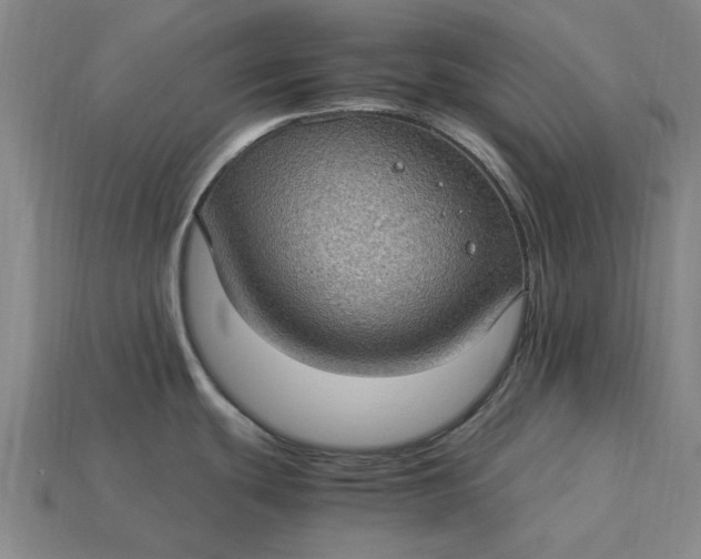 X0000115281439200911131819