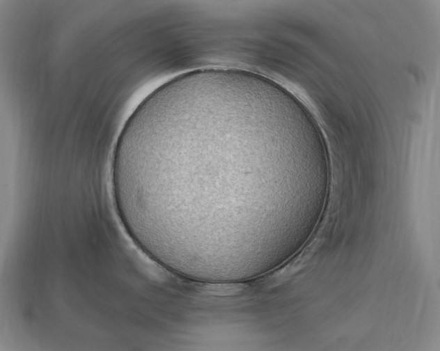 X0000115281440200911131819