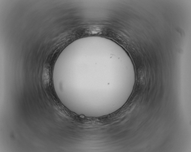 X0000115281442200911131818