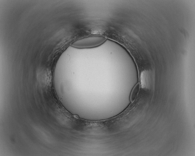 X0000115281443200911131818