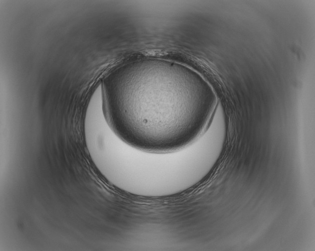 X0000115281444200911131818