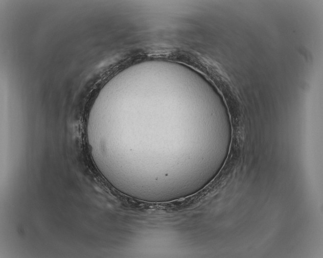 X0000115281445200911131818