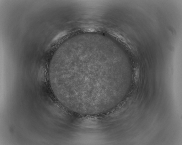 X0000115281446200911131818