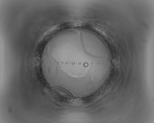 X0000115281447200911131818