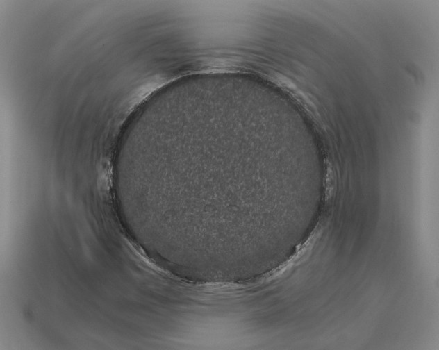 X0000115281449200911131818