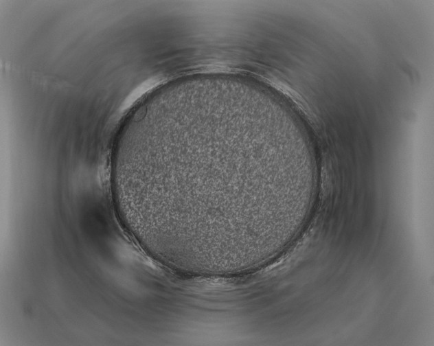 X0000115281450200911131818