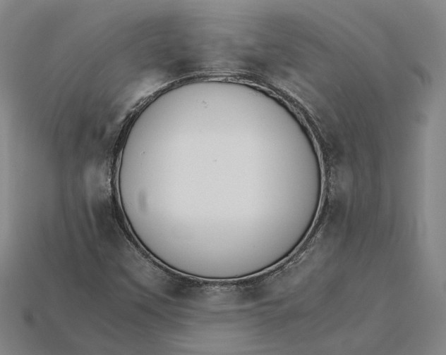 X0000115281451200911131818