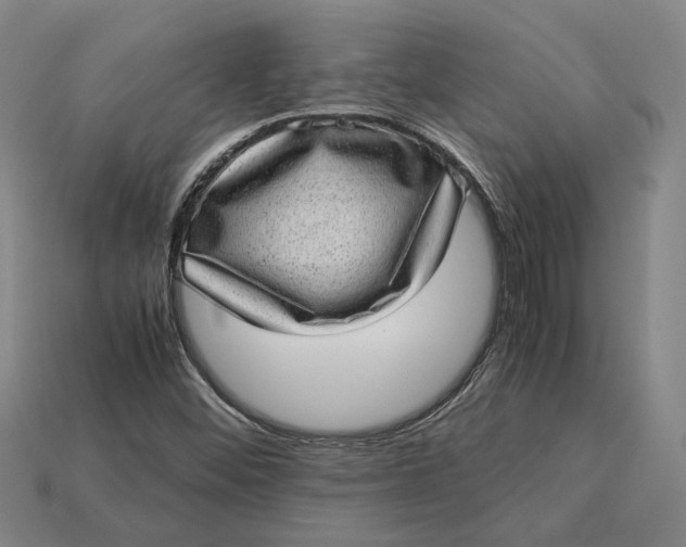 X0000115281452200911131818